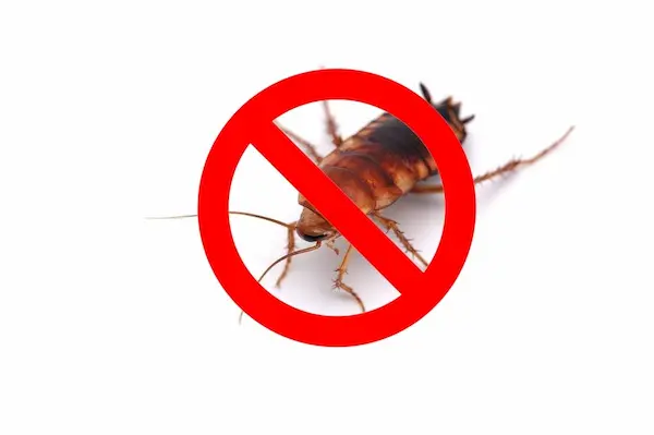 exterminator kawartha